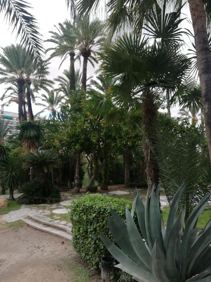 Penthouse Op Toplocatie Orihuela Bagian luar foto